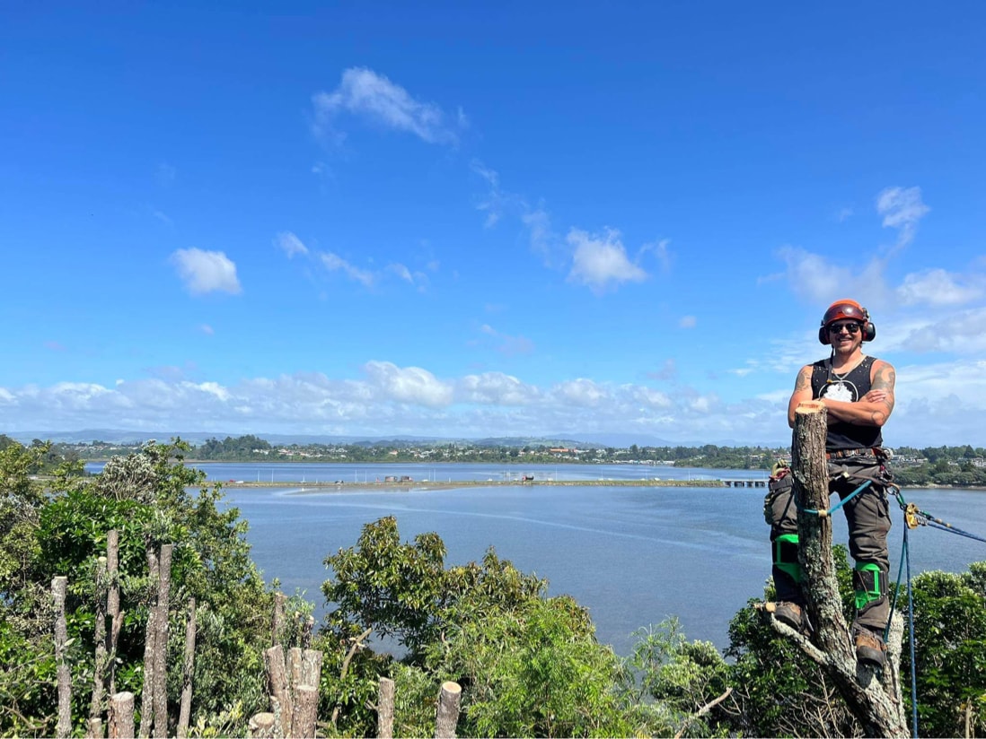 Arborcore Tree Services — Arborists in Tauranga