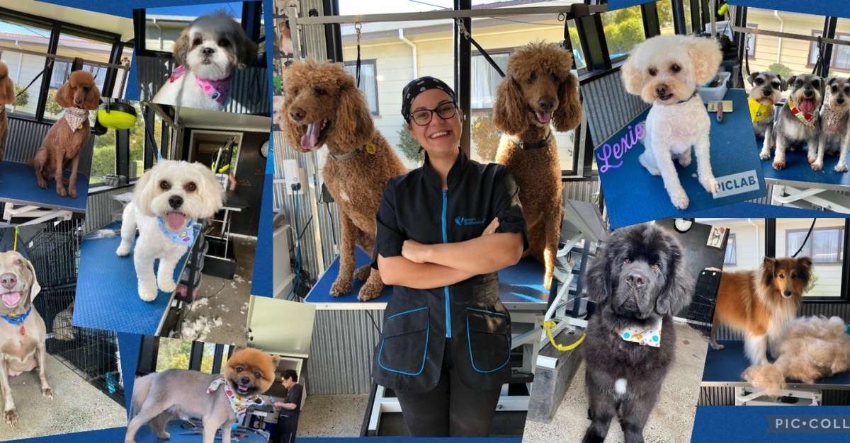 Nails & Tails — Dog Groomers in Hamilton