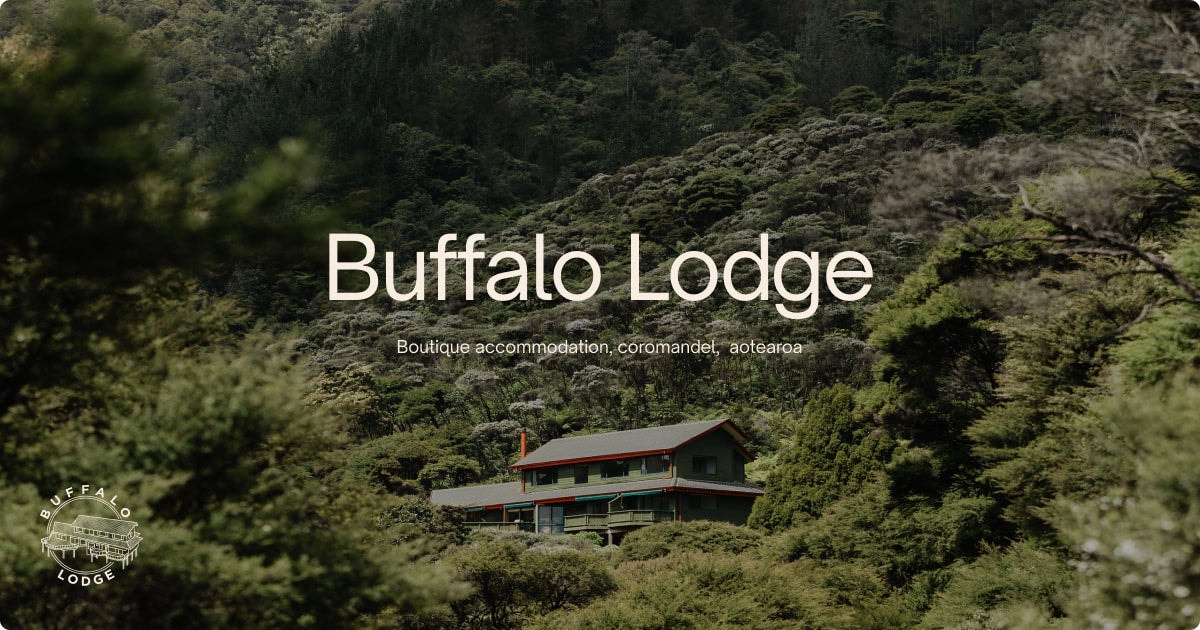 Buffalo Lodge — Accommodation in Coromandel Town Aotearoa