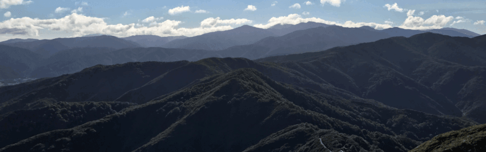 Greytown Medical Centre — Medical Centres in Greytown