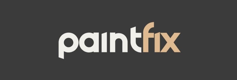 Paintfix