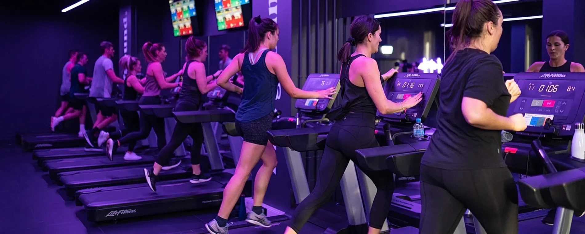 Playground Fitness — Gyms in Auckland