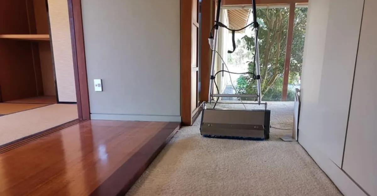 Deep Clean Services — Pest Control Services in Bucklands Beach
