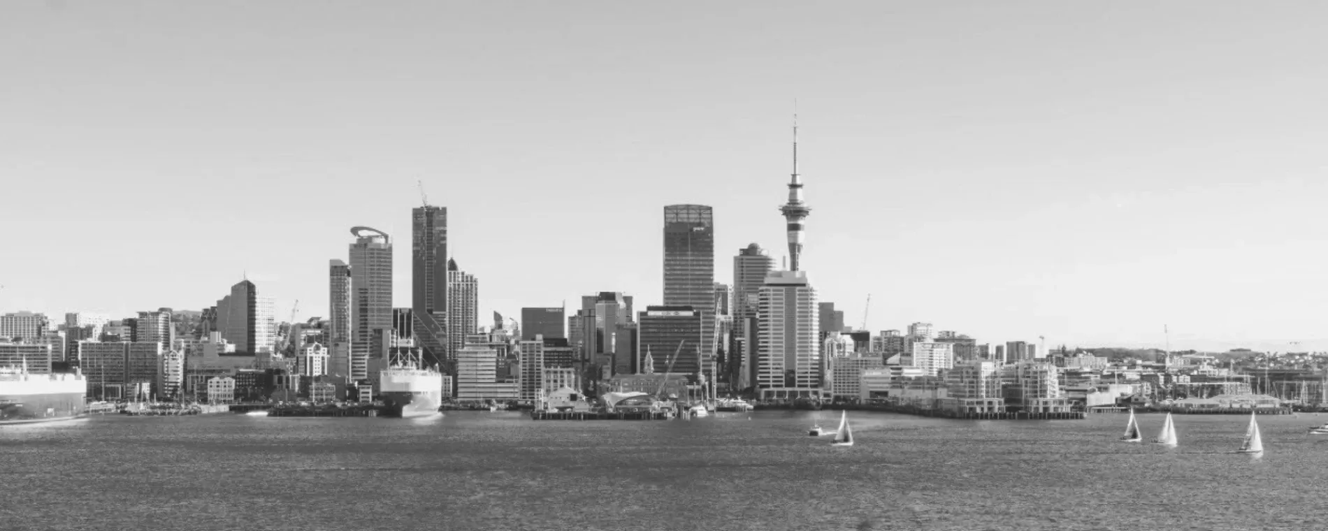 Su & Co Accountancy & Advisory — Accountants in Auckland