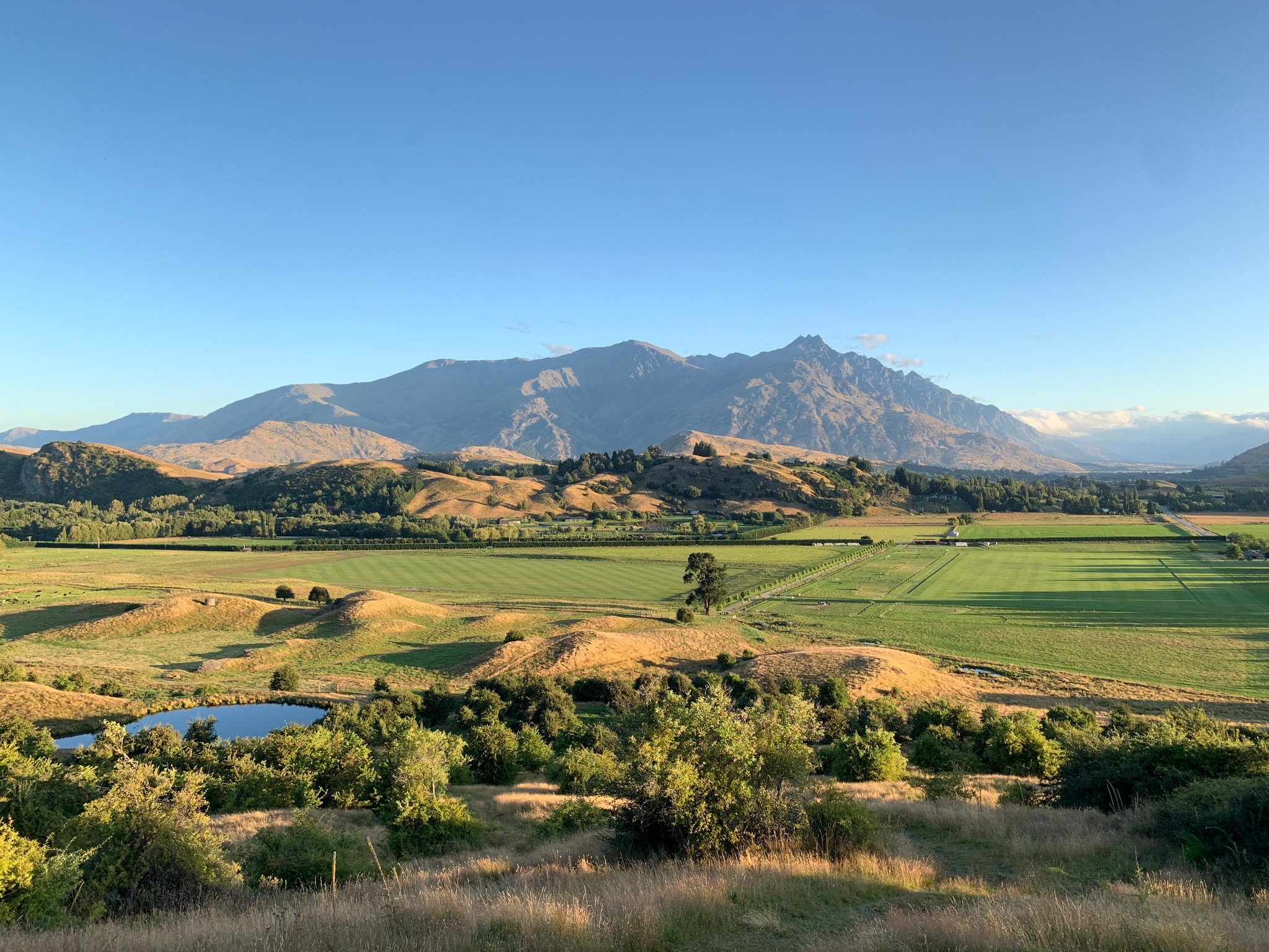 Queenstown Polo — Sport & Recreation in Queenstown