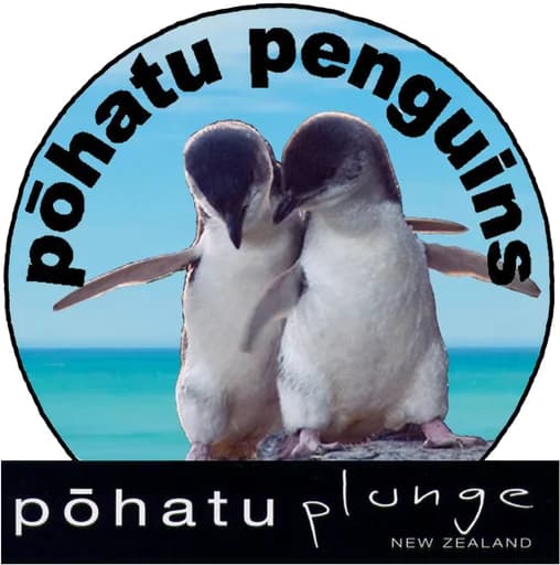 Pohatu Penguins