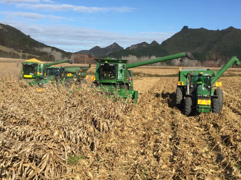 De Costa Enterprises — Agricultural Services in Pātūtahi