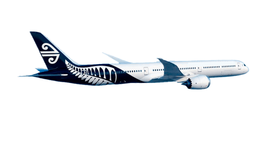 Kiwi Immigration — Immigration Consultants in Wellington
