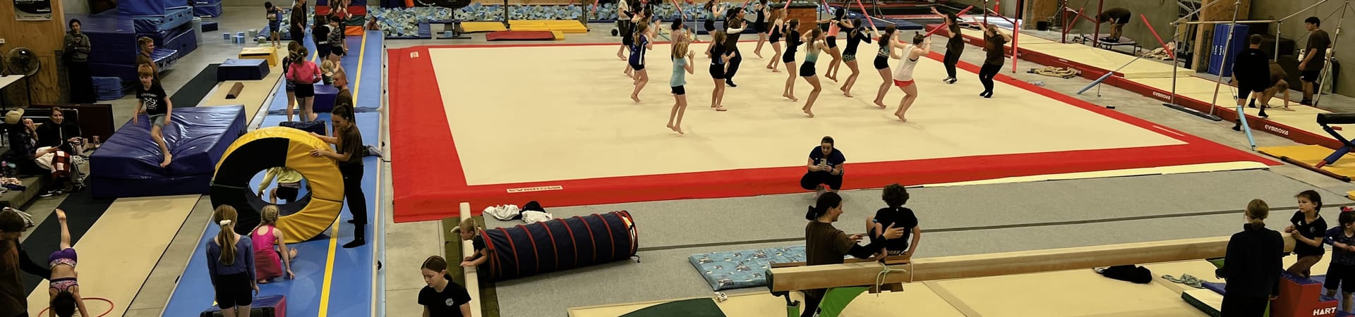 Gymnastics Waitara — Garden Centres in Waitara