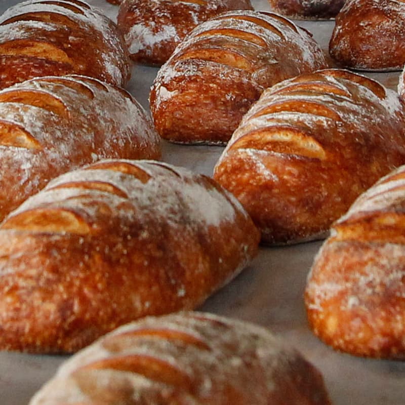 Wild Wheat — Bakeries in Albert-Eden