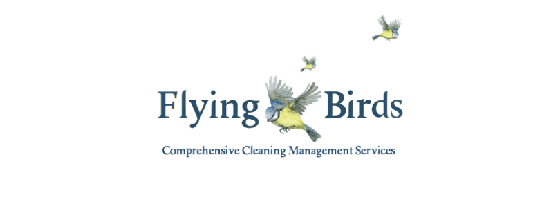 Commercial Cleaning Services in Auckland Wide* — Cleaning Services in Auckland
