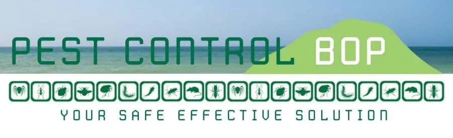 Pest Control BOP — Pest Control Services in Ōmokoroa