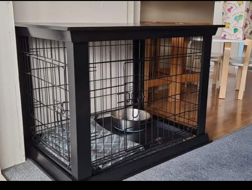 Beloved Pet Furniture — Furniture Stores in Brooklyn