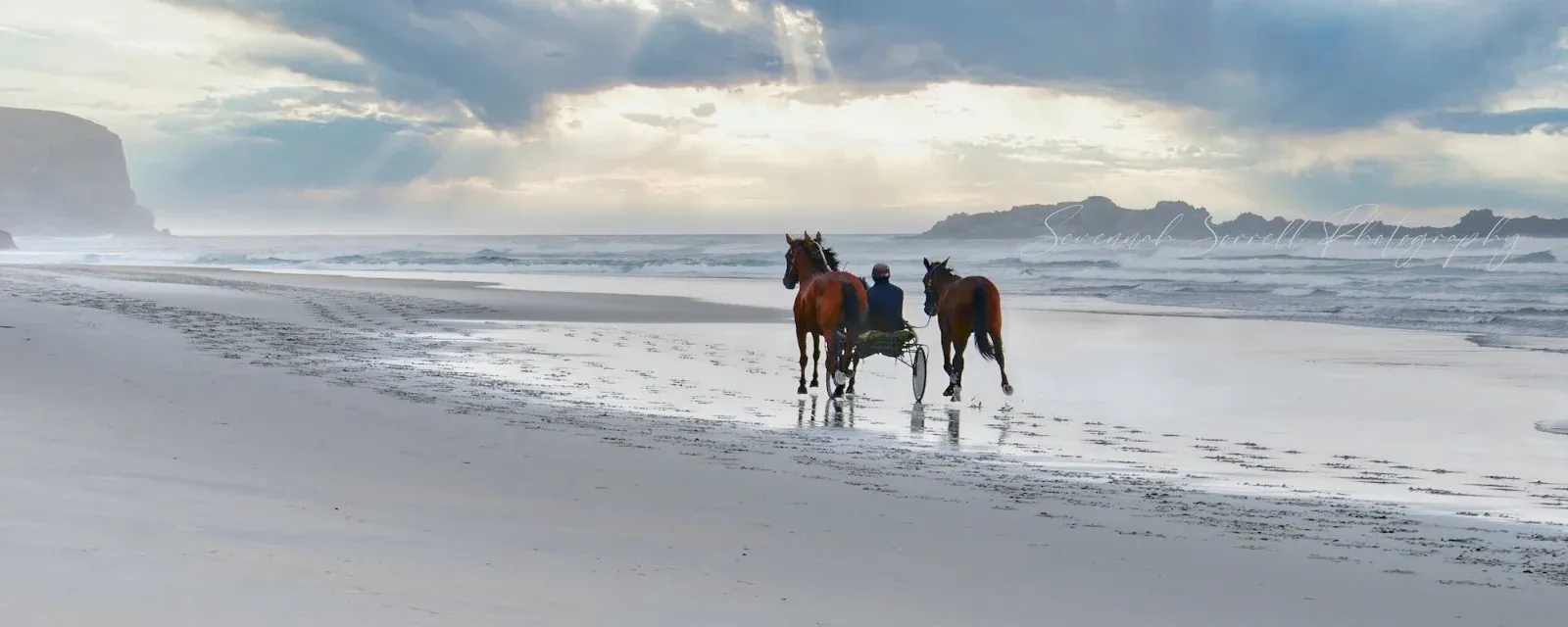 Sevennah Sorrell Photography — Photographers in Dunedin