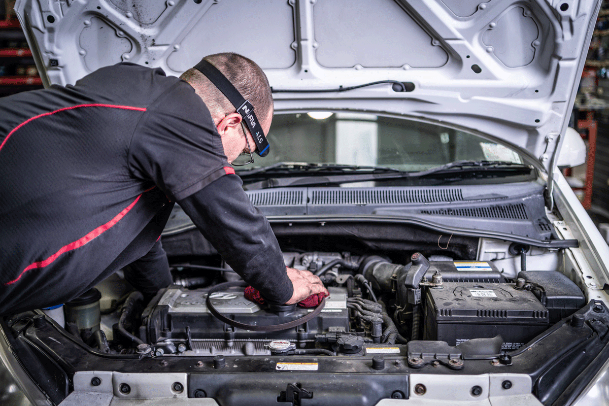 Snow Bros Auto Electrical Ltd — Automotive Services in Whangārei