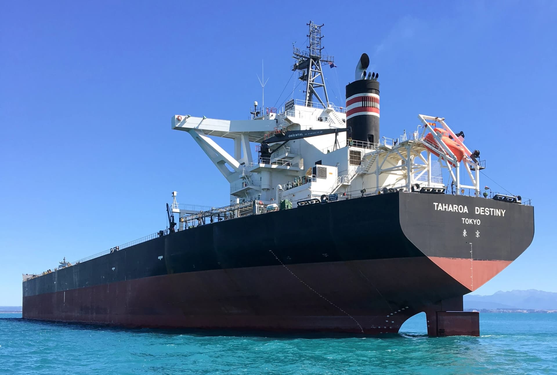 New Zealand Shipping Services — Business Services in Christchurch