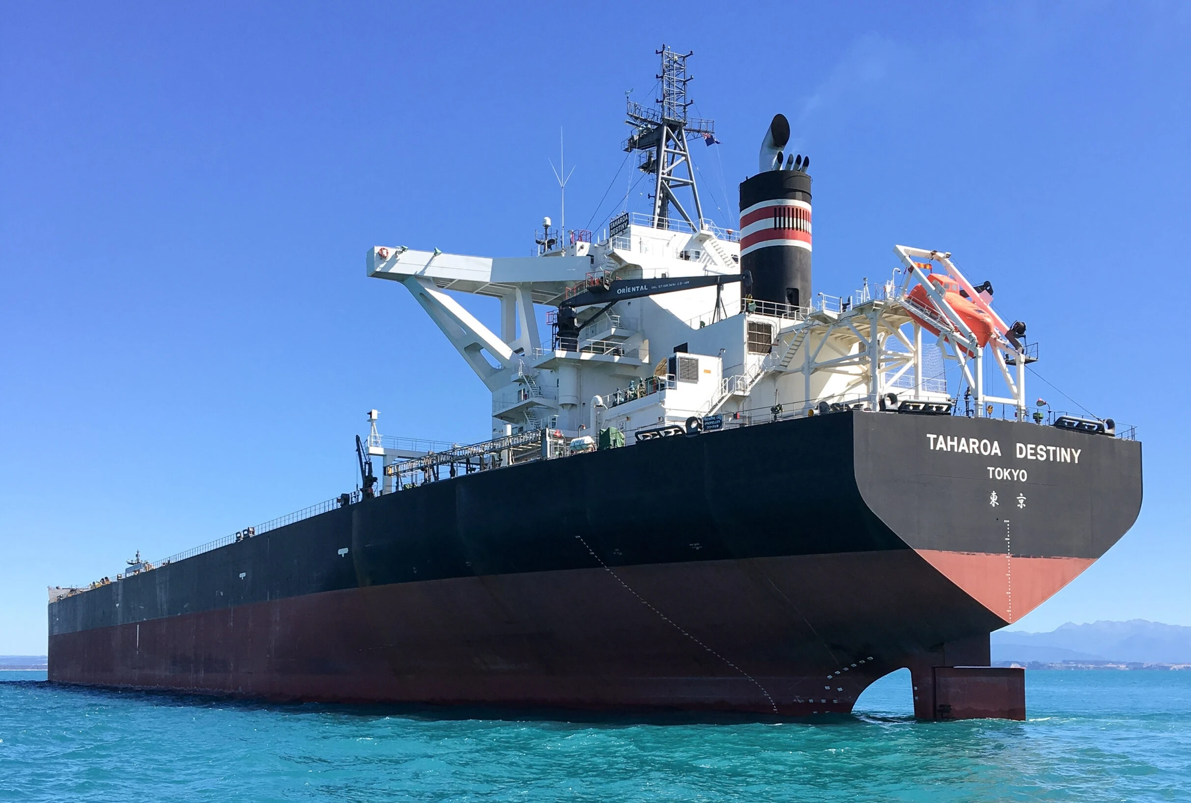 New Zealand Shipping Services — Business Services in Christchurch