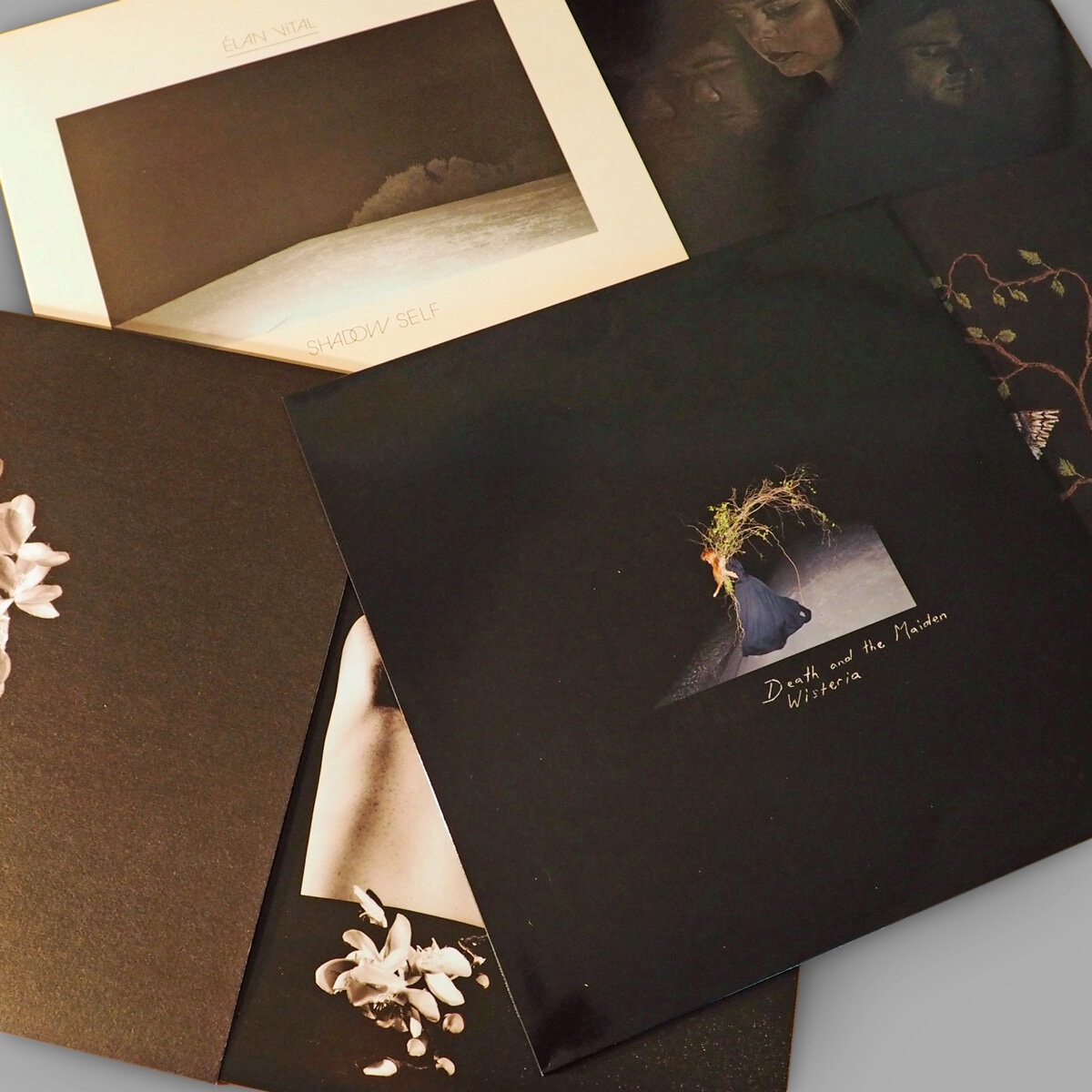 Fishrider Records — Online Stores in Dunedin
