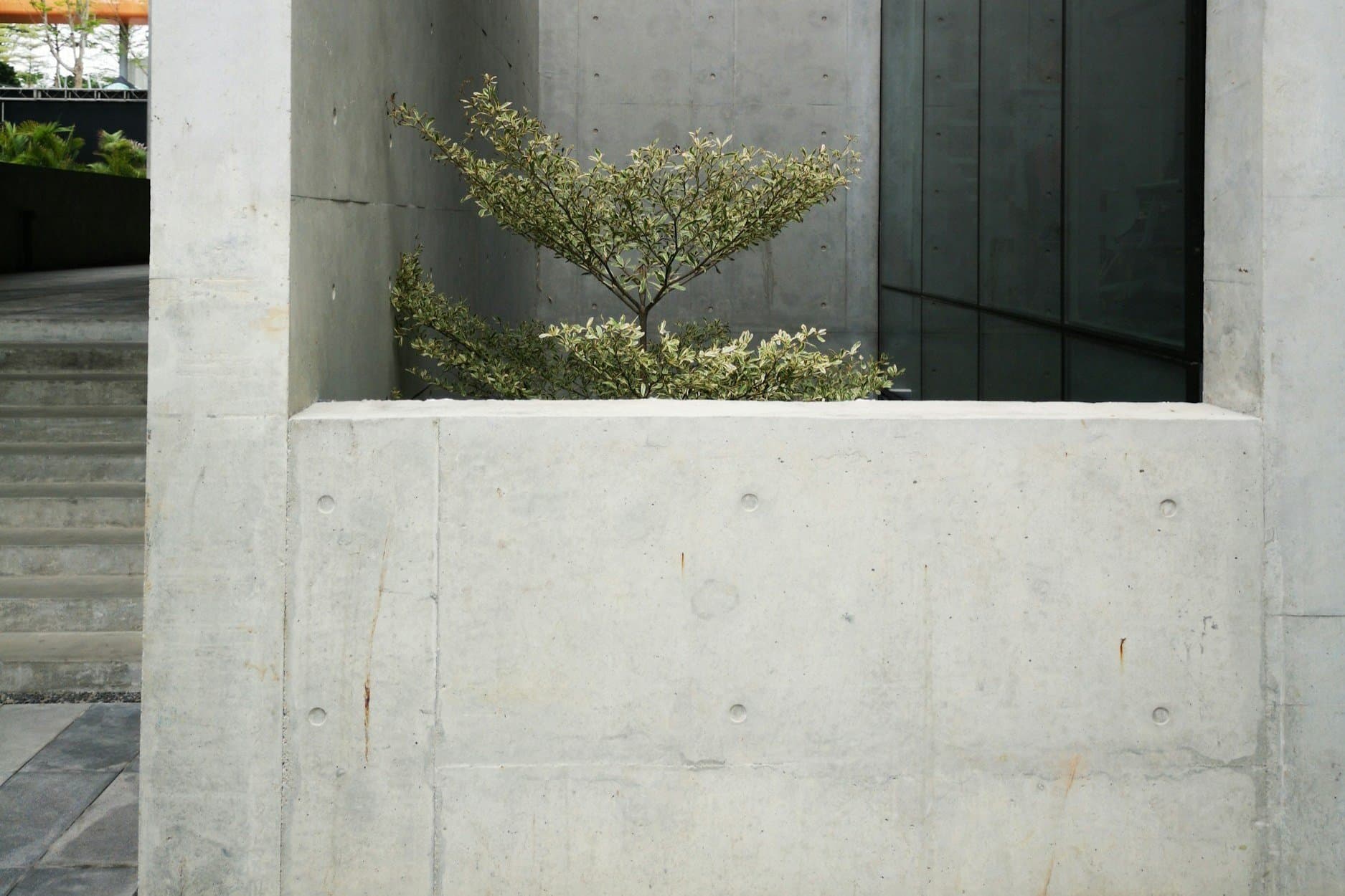 Elite Surface Solutions — Paving Contractors in Tauranga