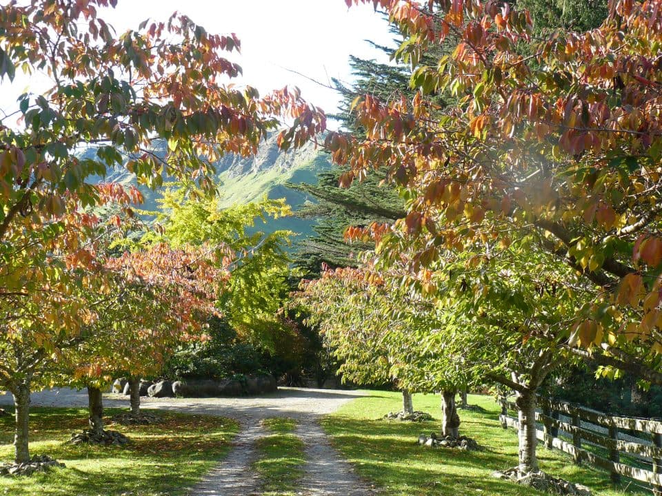 Haurata Backpacker — Accommodation in Te Karaka