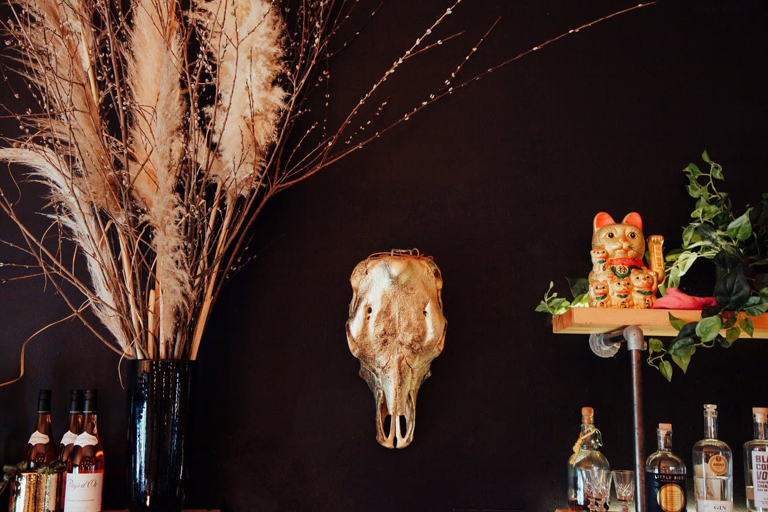 Evil Genius Bar & Eatery — Restaurants in Christchurch