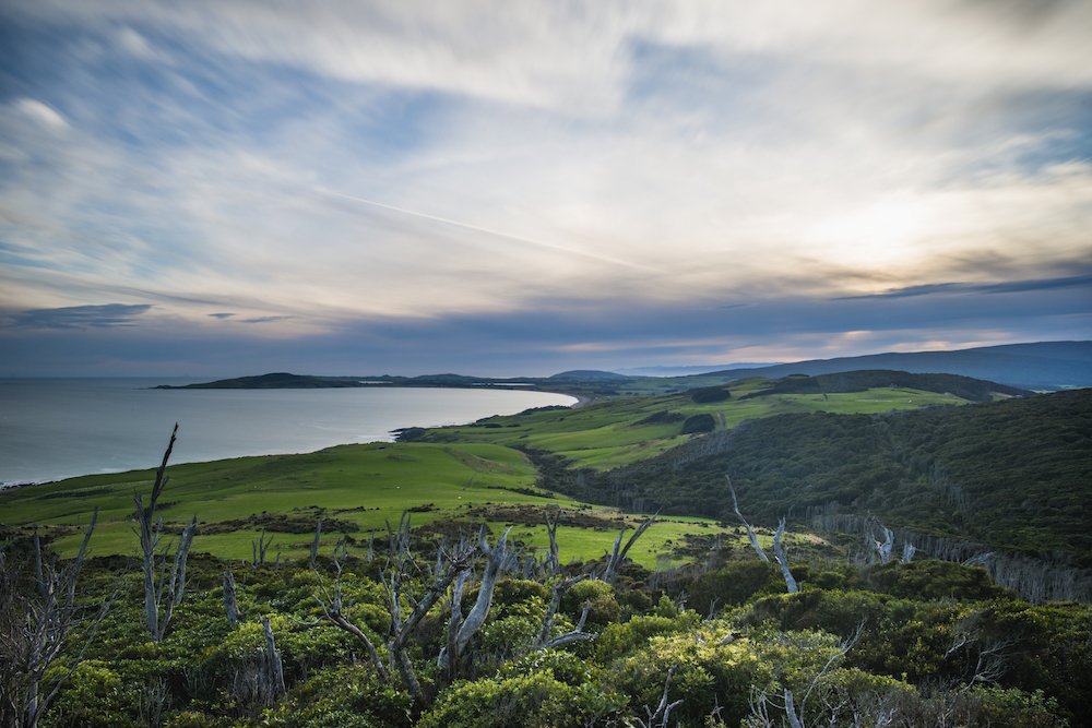 South Stays Ltd — Accommodation in Te Anau