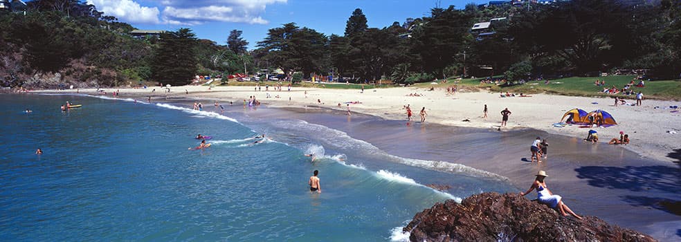 Waiheke Punga Lodge — Accommodation in Waiheke