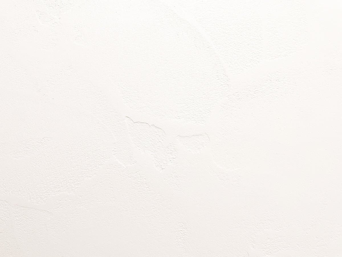 The Plaster Room — Builders in Tauranga