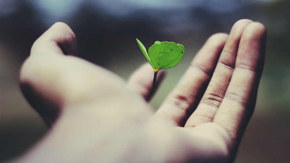 Healing Touch Clinic — Chiropractors in Auckland