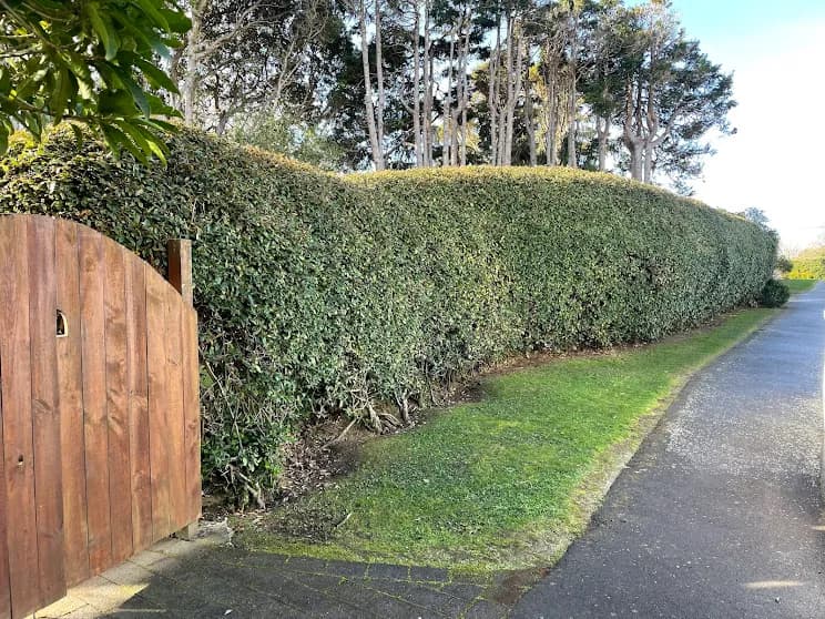 PasturesNZ Lawn and Garden Care — Gardening Services in Wellington