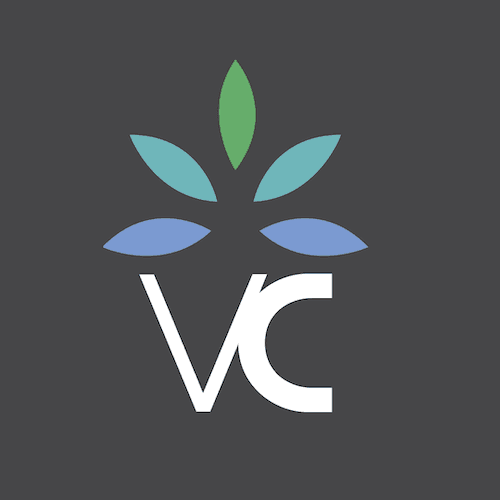 Village Chiropractic logo
