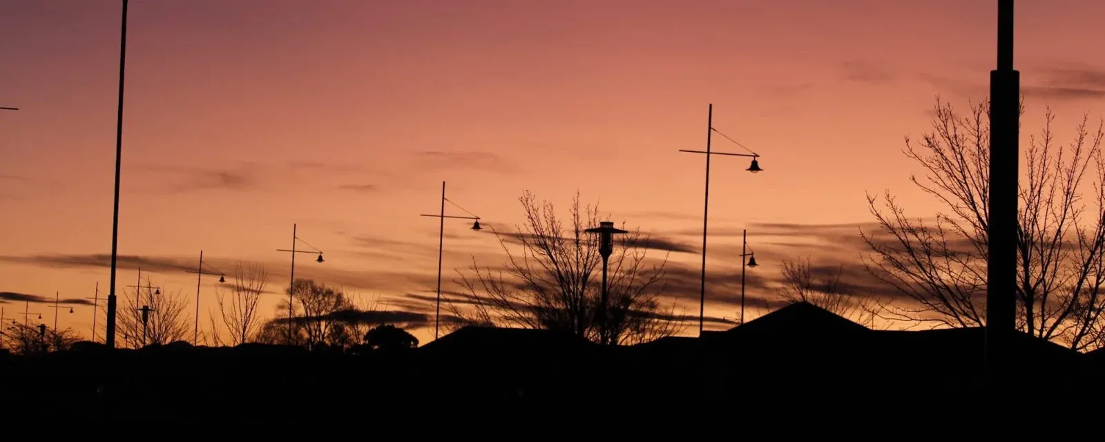 Photography By Courtney — Photographers in Invercargill