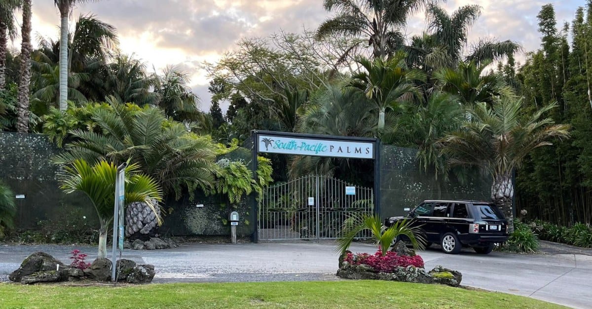 South Pacific Palms — Landscaping Services in Kerikeri
