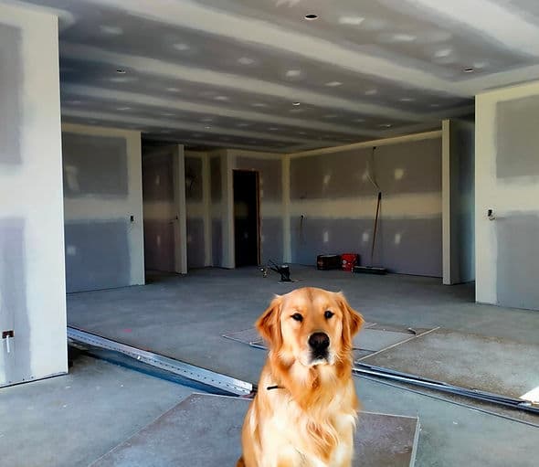 Shane Cross Gib Stopping — Builders in Dunedin