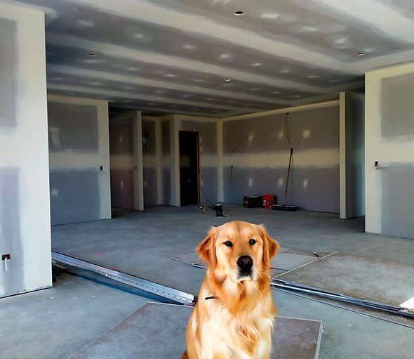 Shane Cross Gib Stopping — Builders in Dunedin