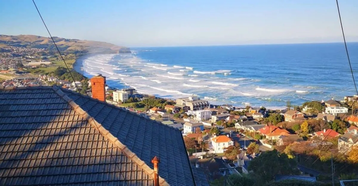 Dunedin Property Management — Property Managers in Dunedin