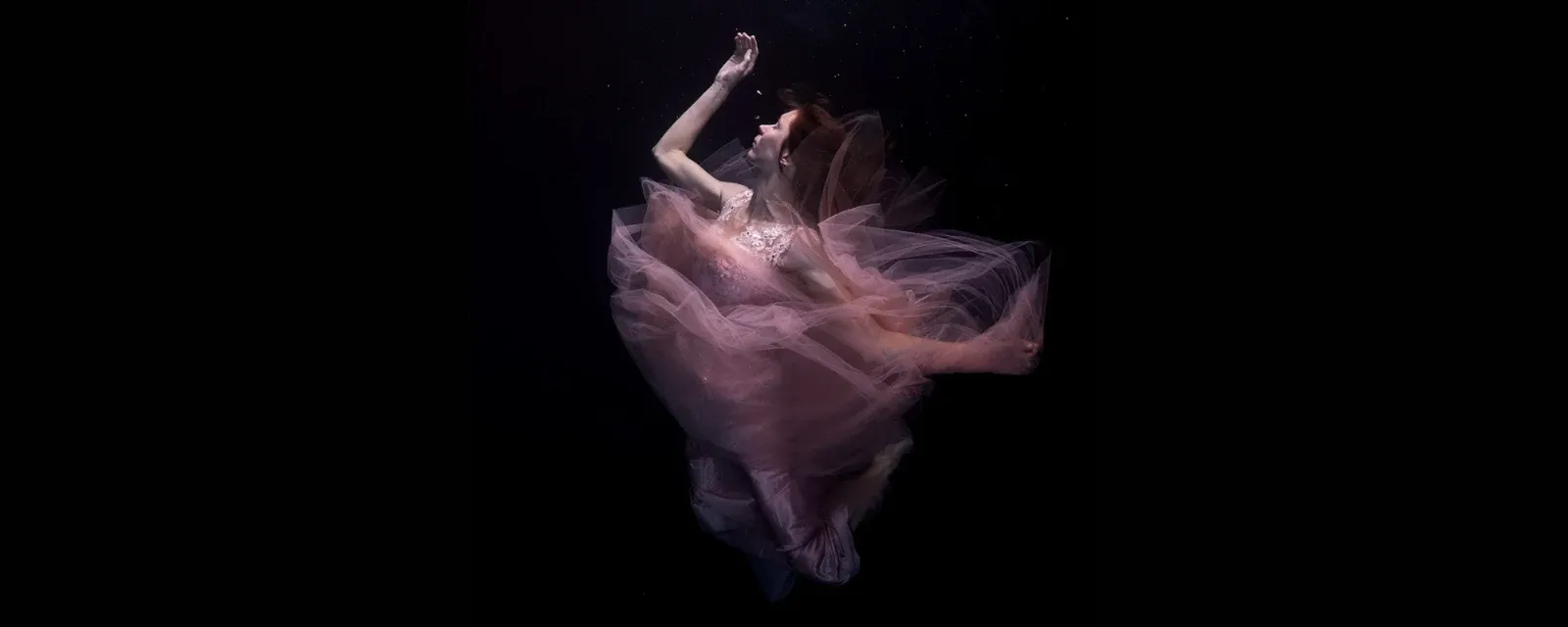 Little Fish Underwater Pictures — Photographers in Tauranga
