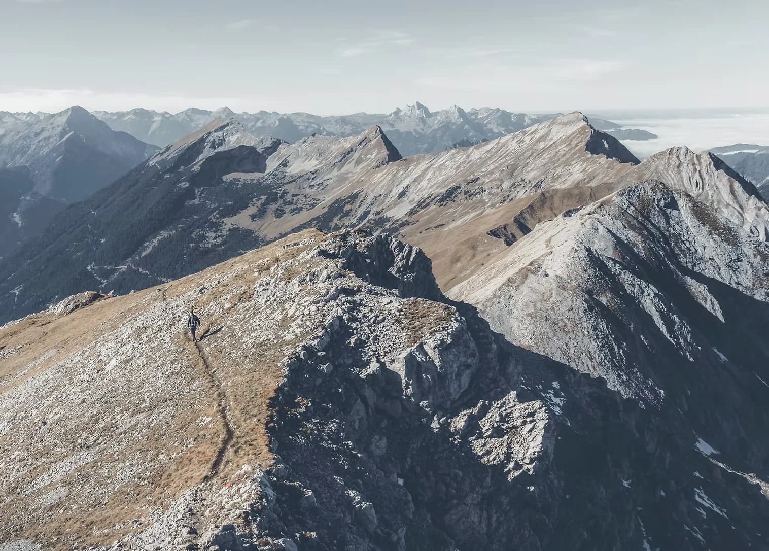 The Independent Human Research Ethics Collective — Non Profit Organisations in New Zealand