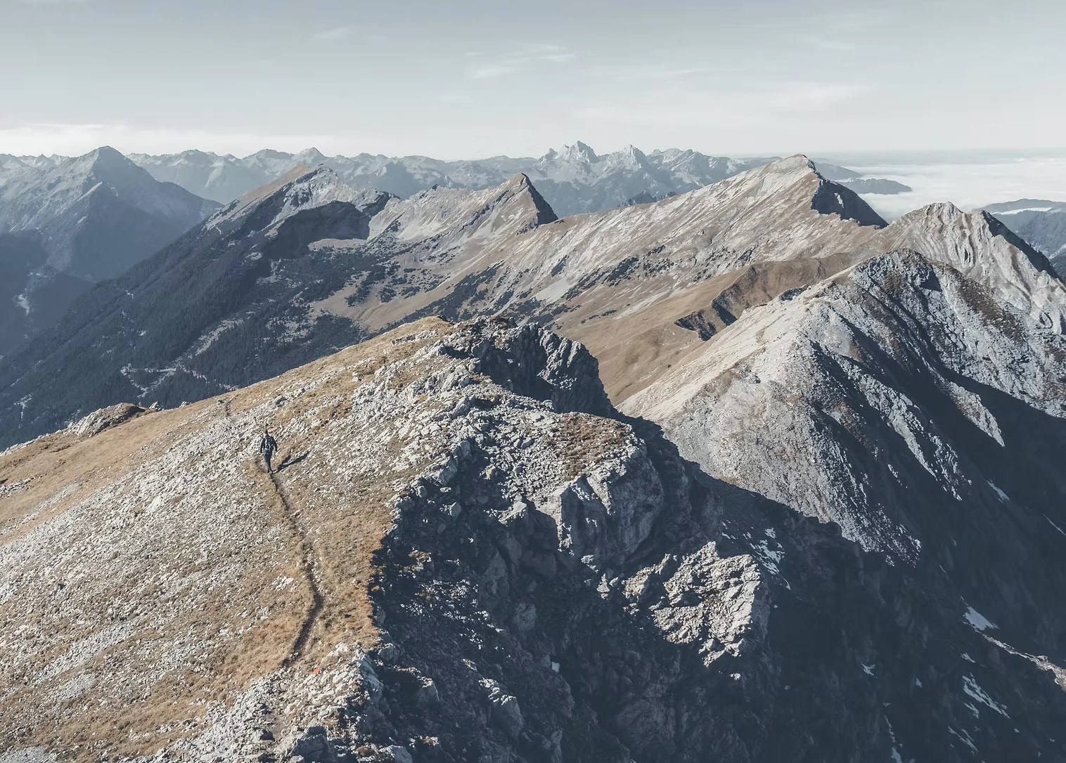 The Independent Human Research Ethics Collective — Non Profit Organisations in New Zealand