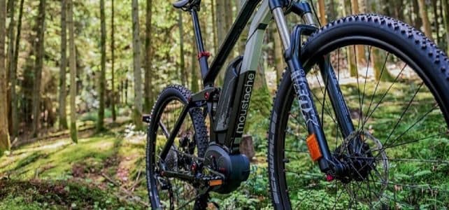 Haven MTB Park — Accommodation in Motukarara