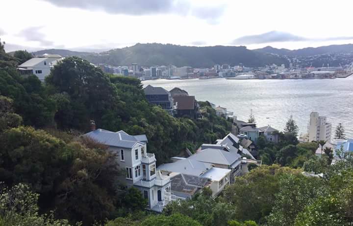 Whaitaki Limited — IT Services in Wellington