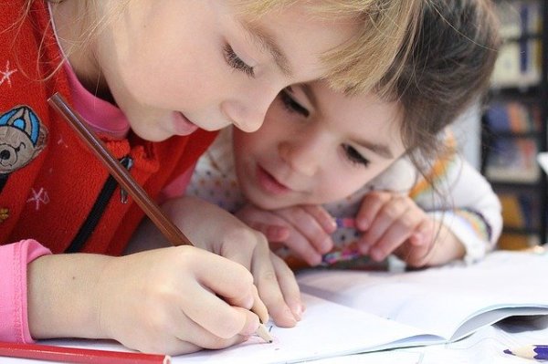 NPS Education Centre — Education & Training in Pukekohe