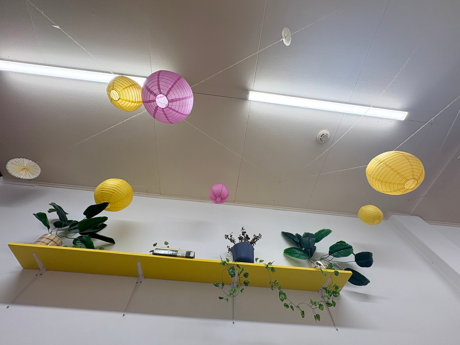 Banana Blossom Cafe — Café in Tauranga