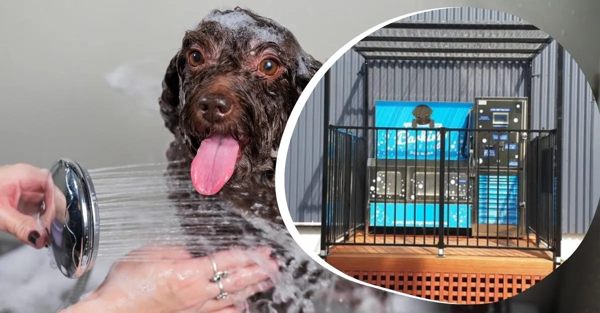 Barking Clean Dog Wash — Dog Groomers in Kaiapoi