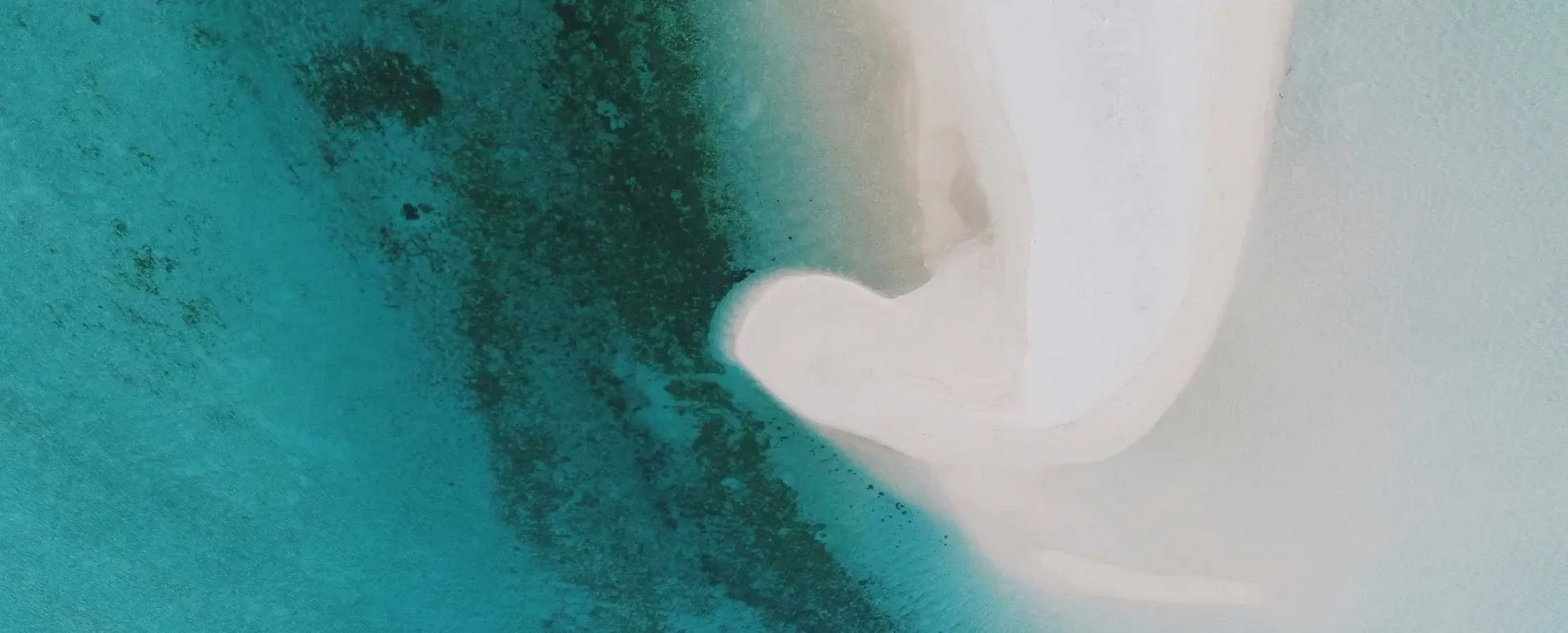 Digital Spaces — Website Designers in Dunedin