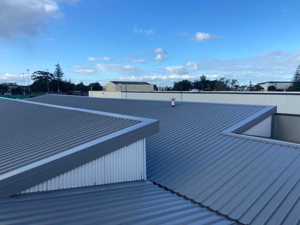 Dynamic Roofing Specialists — Roofing Services in Te Puke