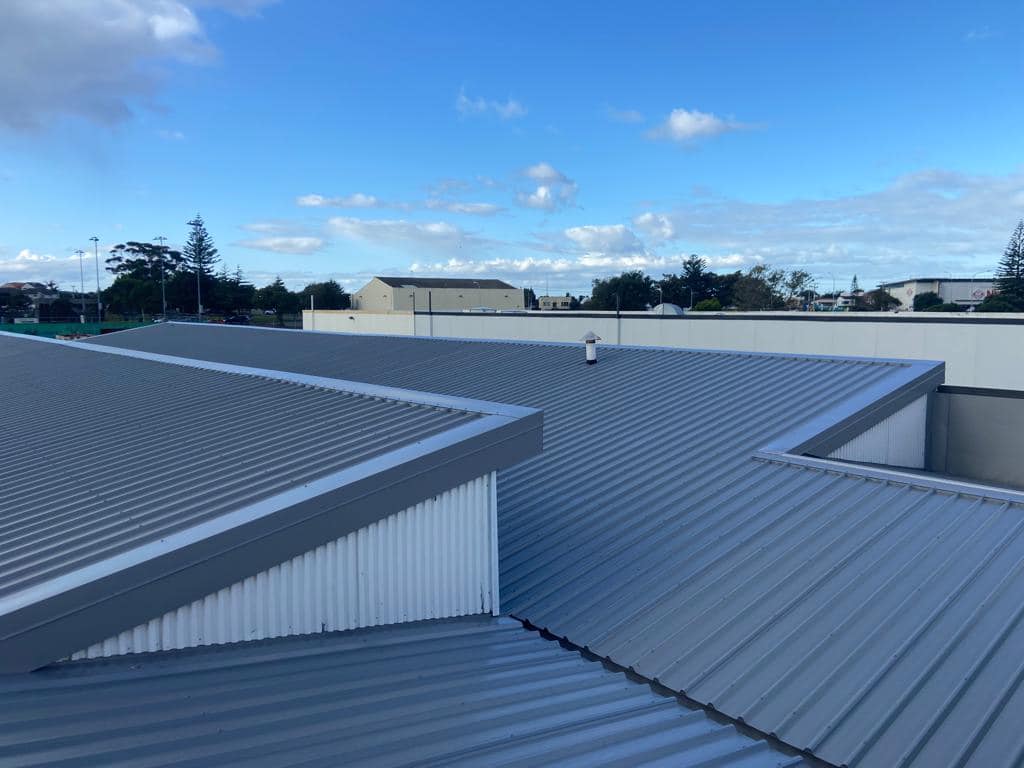 Dynamic Roofing Specialists — Roofing Services in Te Puke