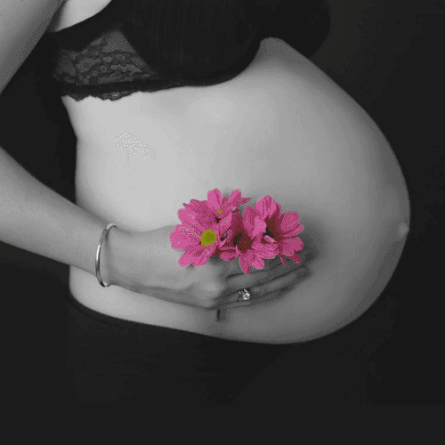 Bloom Massage Therapy logo