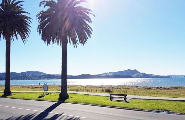 Stoked Restaurant and Bar — Restaurants in Whitianga
