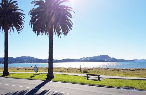 Stoked Restaurant and Bar — Restaurants in Whitianga